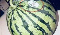 新沂网红吃瓜,揭秘网络红人的幕后故事