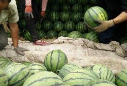 湘潭网红最新吃瓜新闻,揭秘幕后真相与热门事件