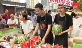 吃瓜网北京朝阳群众,吃瓜网背后的神秘力量”