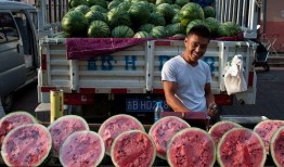 吃瓜网北京朝阳群众,吃瓜网背后的神秘力量”