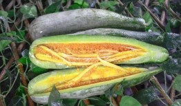 2021网红吃瓜大合集,盘点那些让人捧腹大笑的瞬间